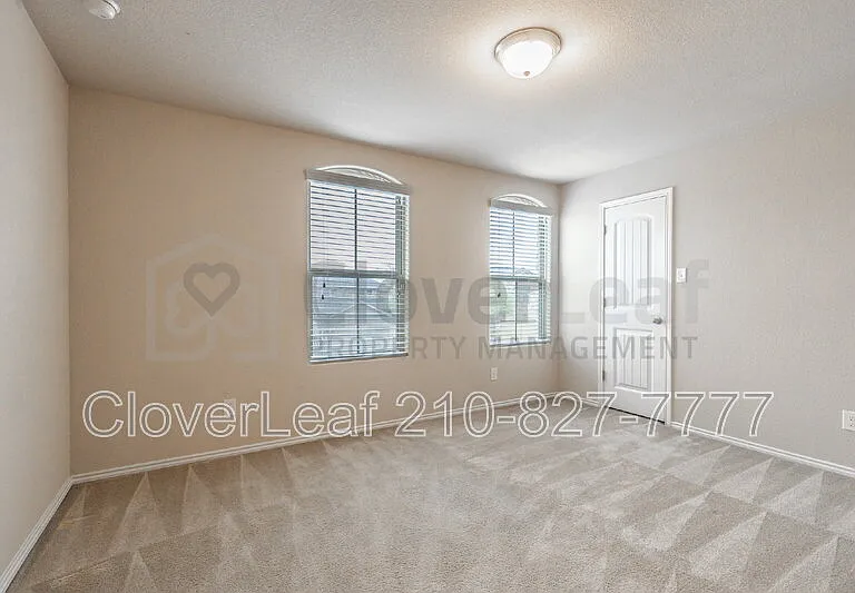 3734 Ox Eye Daisy — Photo 25