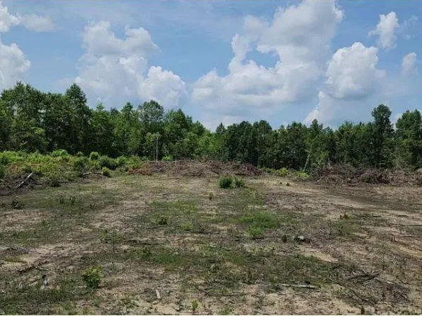 13 & 14 Pleas McCartt Rd, Sunbright, TN 37872