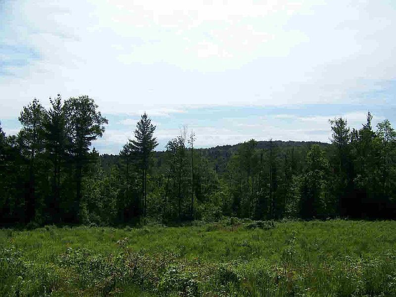 5th image of 000 S Johnsburg Rd/glen Creek Road