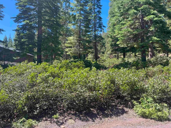 114 Snowy Peak Way, Westwood, CA 96137