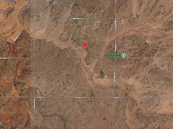 9317 BITTERSWEET Lane #50, Show Low, AZ 85901