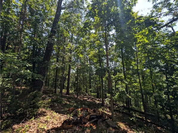 Canyon Village Rd #1, Rogers, AR 72756