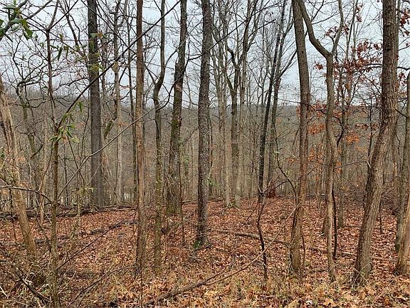 4th image of Bolton Ln