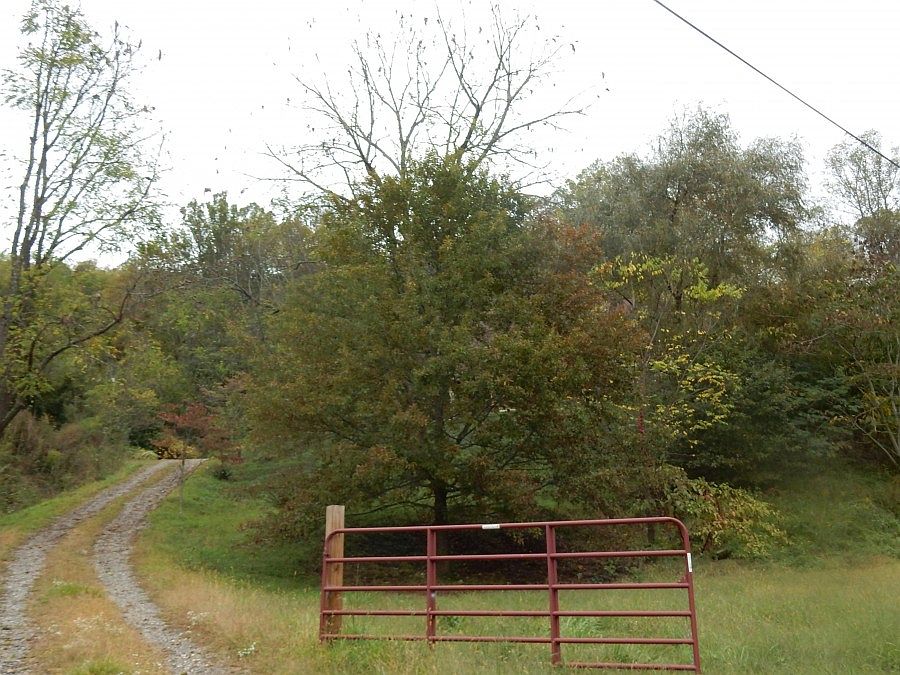 2nd image of 2333 Pigeon Rd