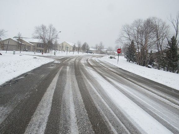 4th image of 8801 Buckridge Trl