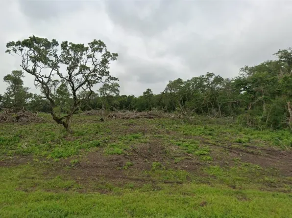 LOT 5 County Road 819, Brazoria, TX 77422