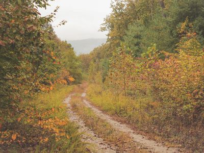 0 Green Ridge Trl, Oakdale, TN, 37829