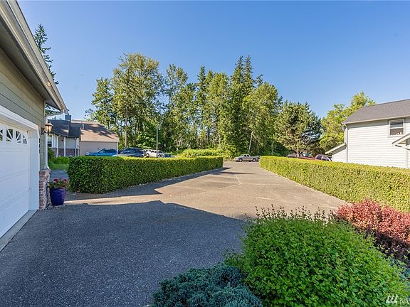 Hedge-lined private driveway