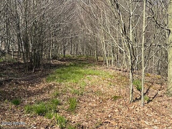 5th image of PARCEL 31 Glory Ridge Rd