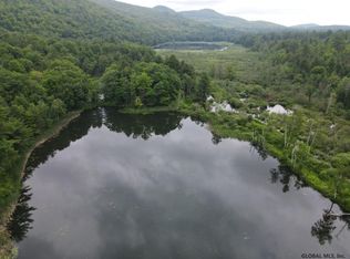 0 Mountain Rd, Athol, NY 12810