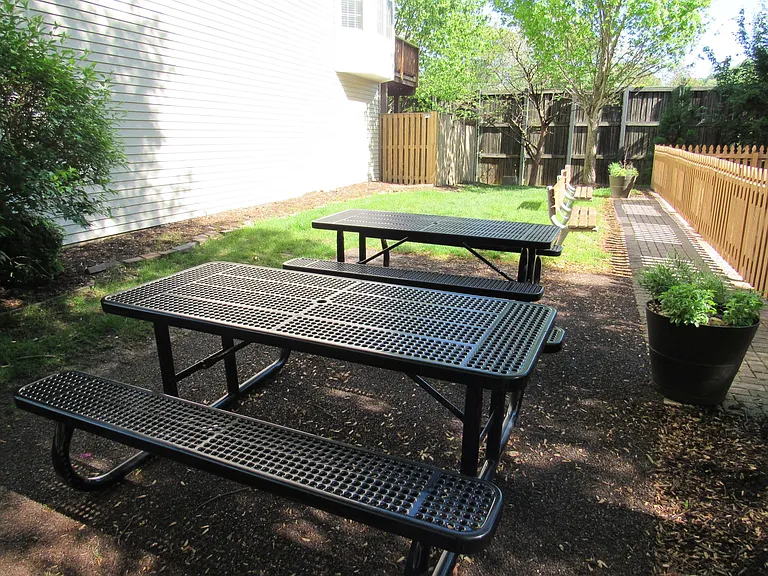 3848 Dominion Mill Dr — Photo 45