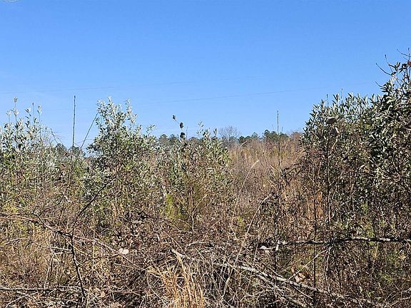 3rd image of LOT One County Rd #36