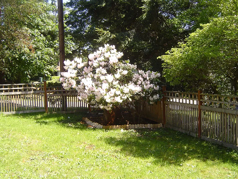 1560 NE 106th St #1 — Photo 37