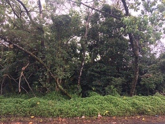 5th image of 27th Ave Lot 213