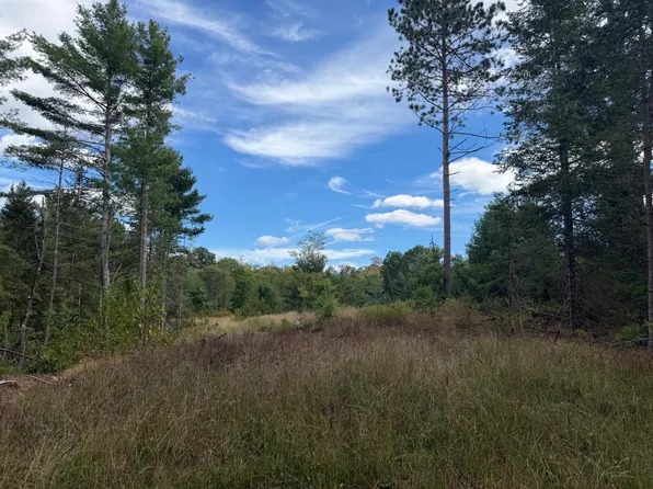 8 Cator Dr, Minocqua, WI 54548