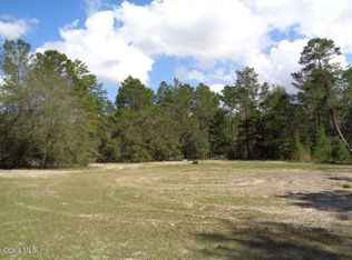 17283 SW 17th Cir, Ocala, FL 34473