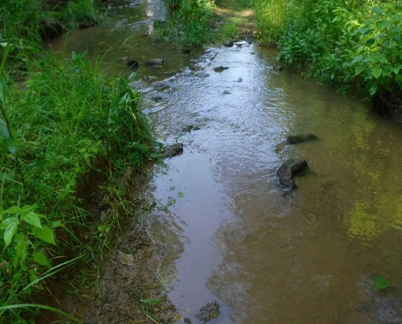 1st image of 161 Ac. Steam Mill Hollow Ln