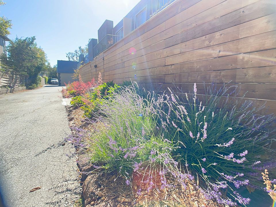 1st image of 2712 Flores St #209