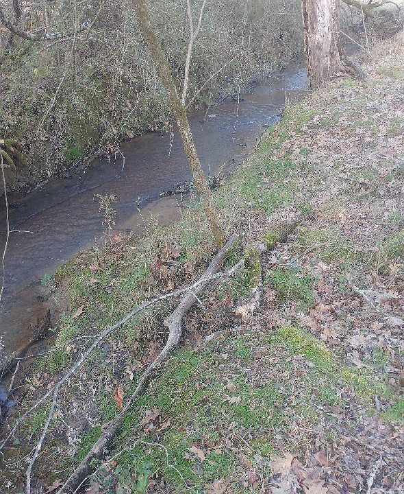 2nd image of Crosby Ln