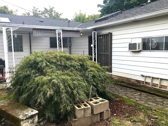 4309 SE 113th Ave — Photo 20