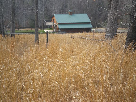 Mountain View Pasture