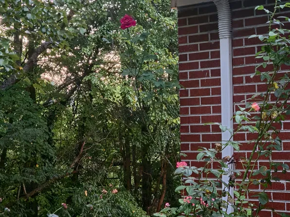 104 Newfound Rd, Asheville, NC 28806