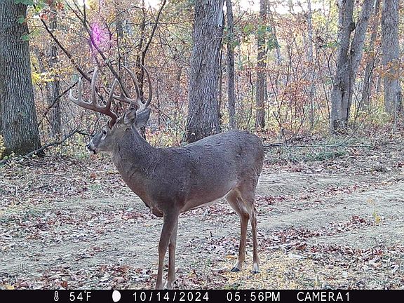 3rd image of Osage Trl