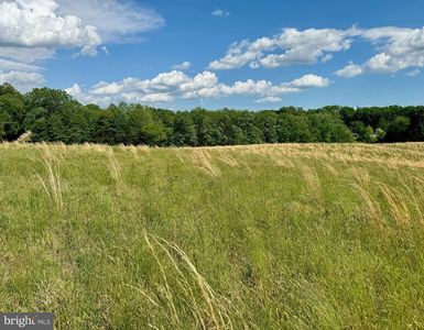 Rixeyville Rd, Culpeper, VA, 22701