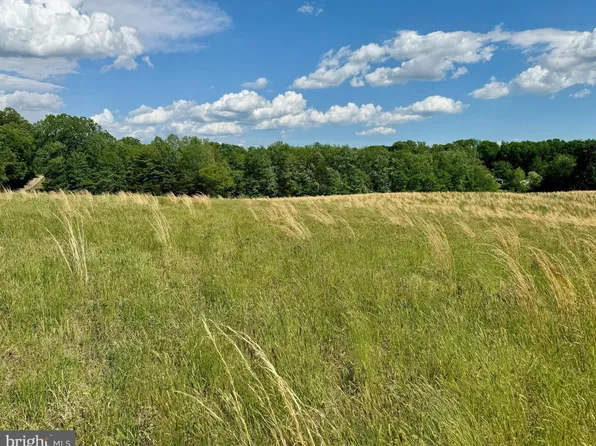 Rixeyville Rd, Culpeper, VA 22701