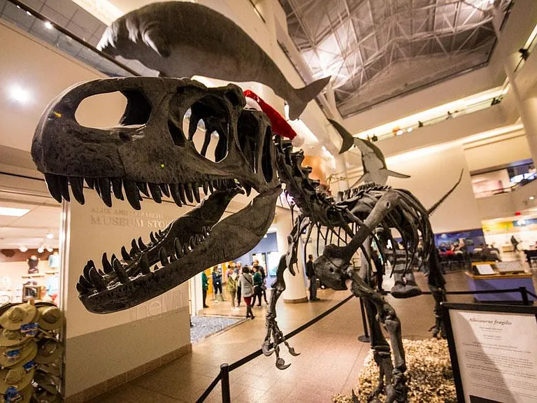 Natural History Museum in Balboa Park