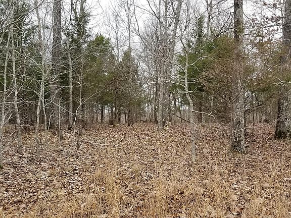 3rd image of 9799 Highway 412 E