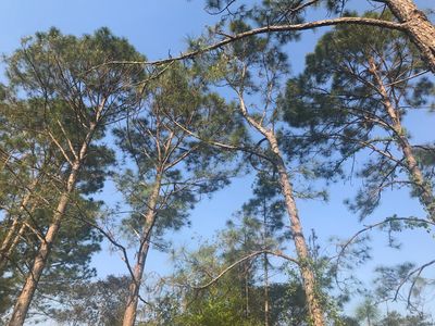 2575 R E Byrd Rd, Frostproof, FL, 33843