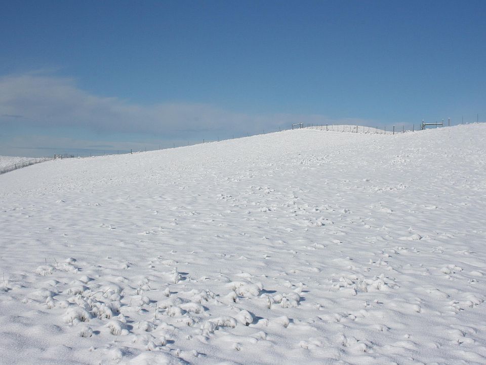 1st image of 1283 Kitzmiller Rd