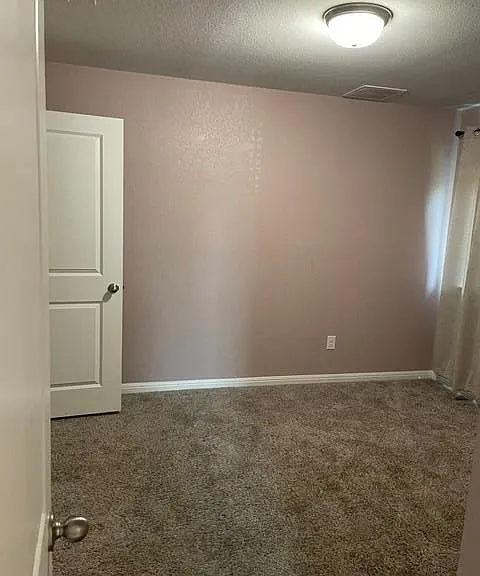 12401 Amber Lynn Path — Photo 28