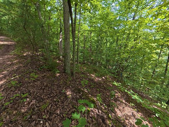 2nd image of LOT 25 Shady Oaks Way Lot 25