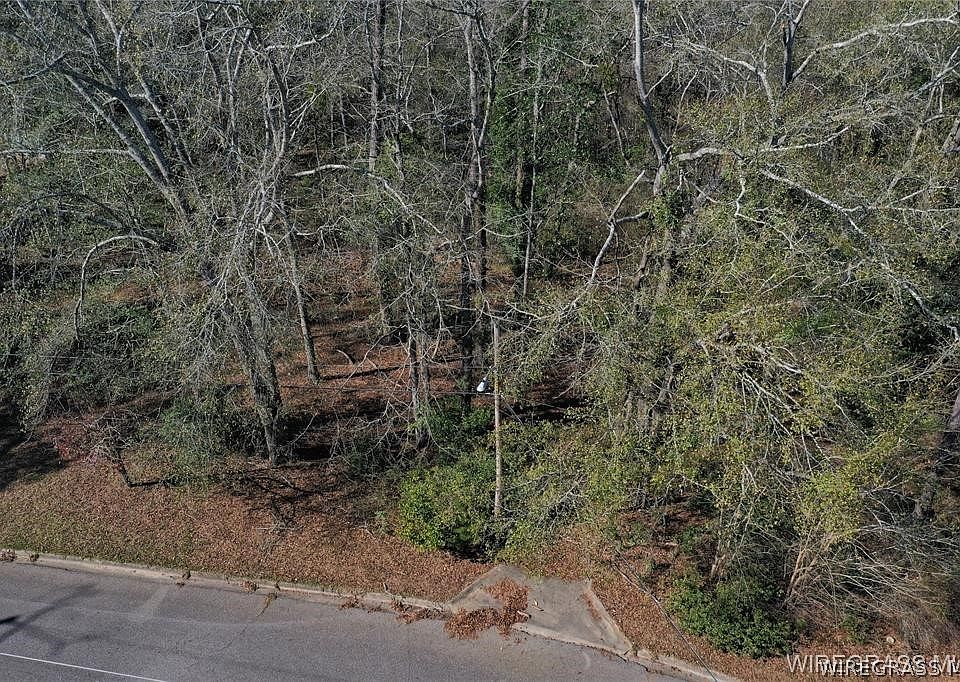 1st image of 203 Harrand Creek Dr