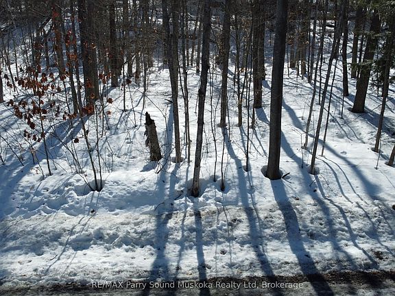 5th image of 42 Ridgeway Dr