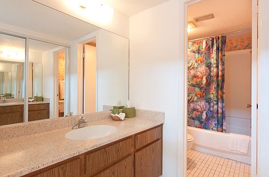 4th image of 4400 Gulf Blvd APT 502
