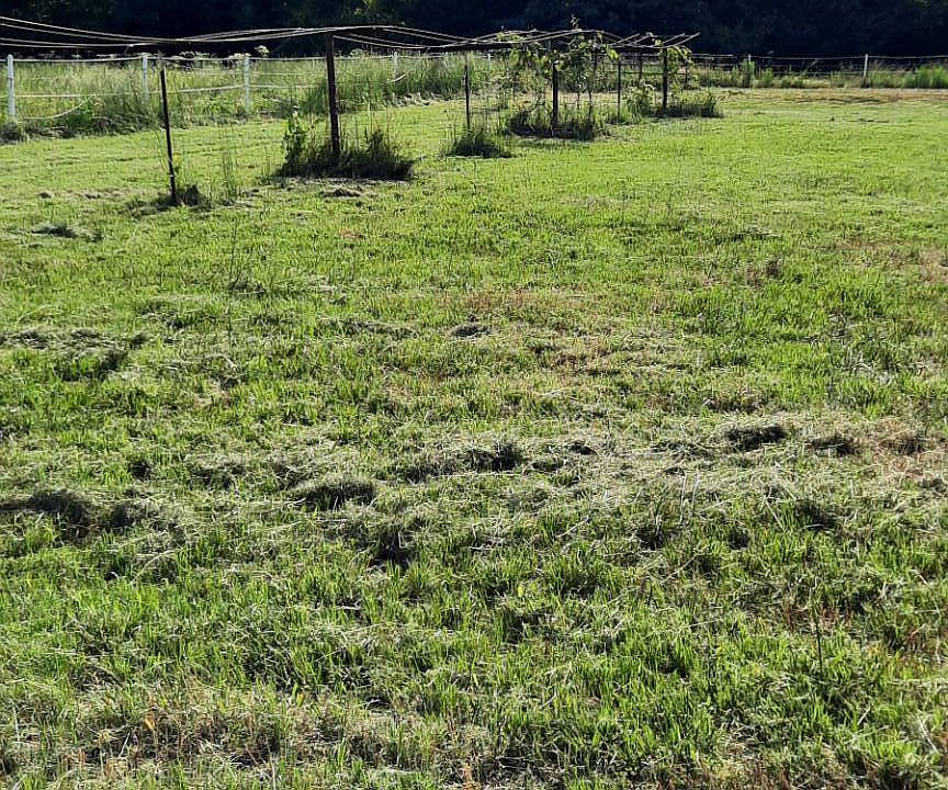 812 Valliant Bypass Rd, Valliant, OK 74764 MLS 11178624 Zillow