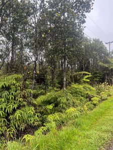 Pa Alii St Lot 1582, Volcano, HI, 96785