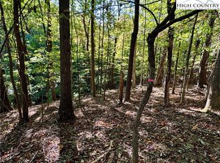 Tbd Penny Ln, Deep Gap, NC 28618