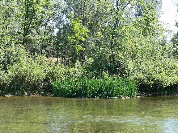 Tranquil setting with lots of wildlife