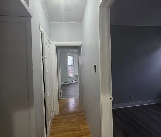 8 Garfield St — Photo 12