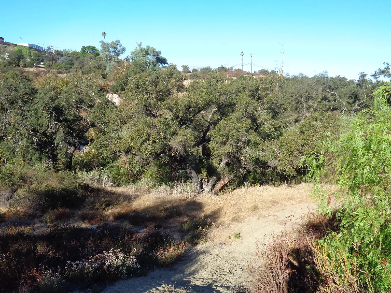 3 bed, 2480 sqft, $4,300 — Photo 4