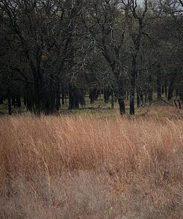 4th image of 128 Bishop Dr