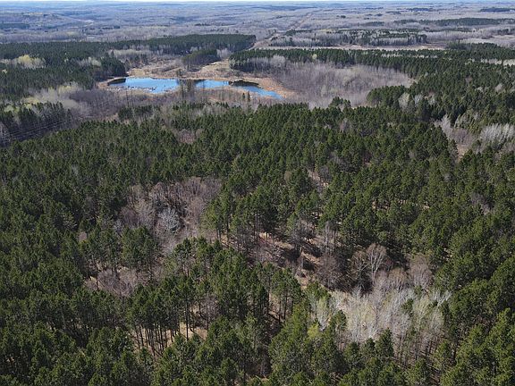 3rd image of 16421AC Maple Grove Rd