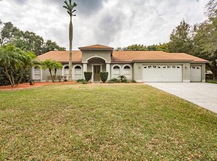 3809 Hanover Hill Dr, Valrico, FL 33596