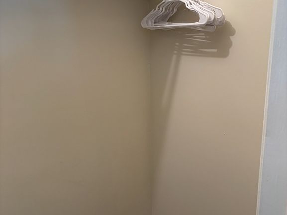 LARGE HALL CLOSET