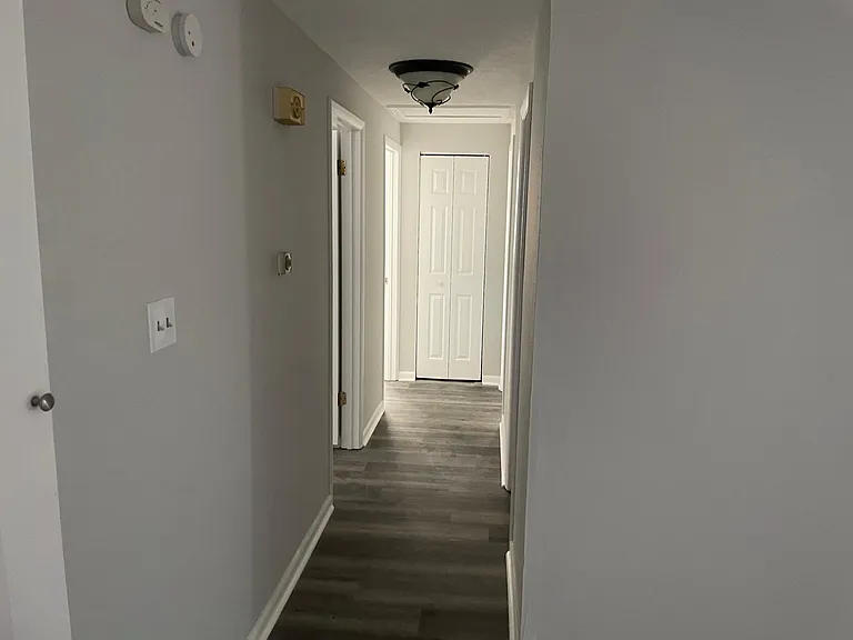 229 Camellia Dr — Photo 5