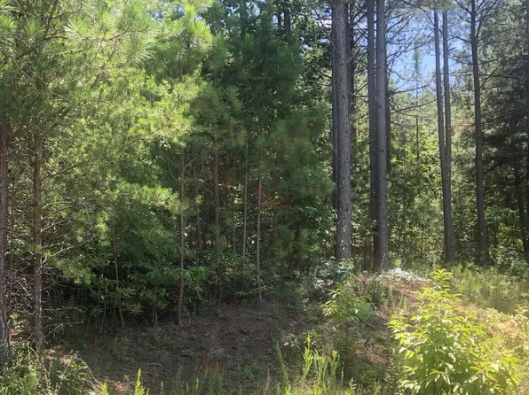 37 Loftis Mountain Way, Blairsville, GA 30512